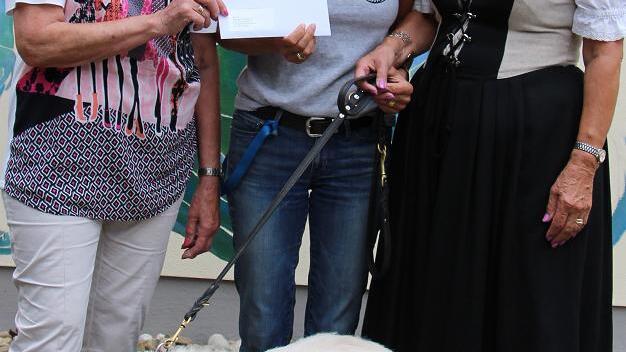 Hilfe f&uuml;rs Tierheim