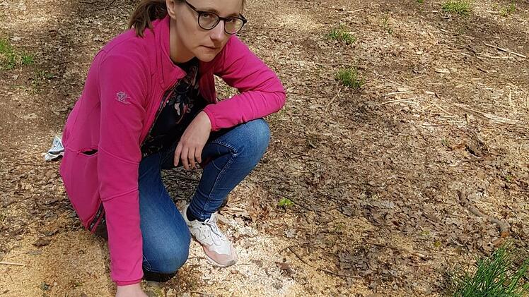 Lisa Badum beklagt, dass in Forchheim der Klimawandel als Vorwand genommen werde, um im Kellerwald Bäume zu fällen.
