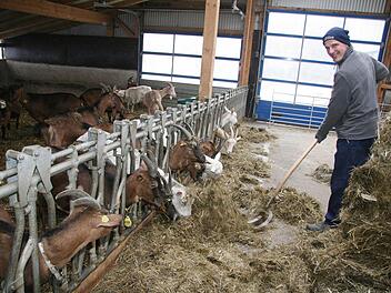 Landwirt Dominik Greim aus Marktschorgast hat feste Fütterungs- und Melkzeiten bei seinen Ziegen, Doch nach der Zeitumstellung geben die Tiere kurzfristig weniger Milch. Fotos: Sonja Adam