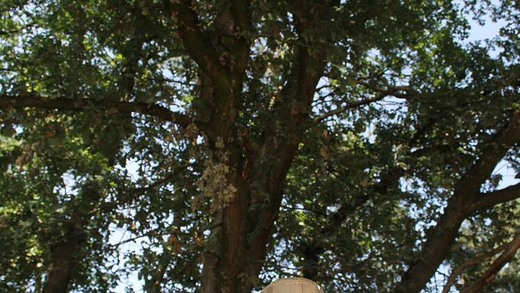 In Melkendorf hinter dem Sport- und Tennisplatz stehen noch Hinweisschilder, auch wenn die Raupen dort abgesammelt wurden.Sonny Adam