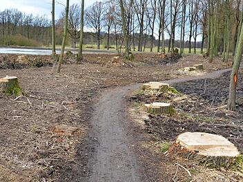 Der Eingriff in die Pflanzenwelt des Auwäldchens in Bad Rodach war einigen Bürgern zu heftig. Foto: Rainer Lutz