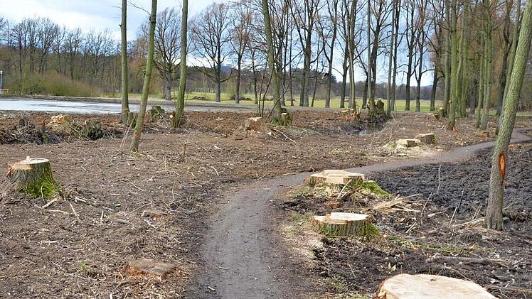 Der Eingriff in die Pflanzenwelt des Auwäldchens in Bad Rodach war einigen Bürgern zu heftig. Foto: Rainer Lutz