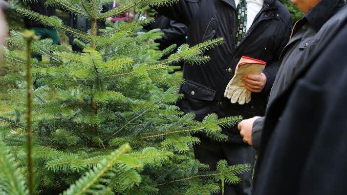 Foto: Barbara Herbst