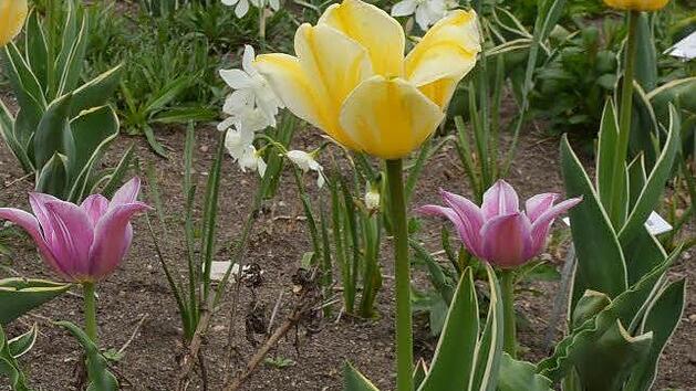 Symbolbild: Ronald Rinklef