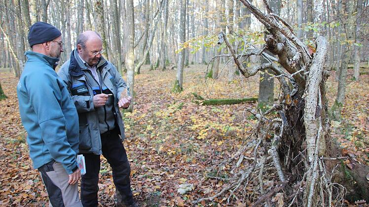Gerhard Max und Bernhard Zürner bei einem umgestürzten Baum im Naturwaldreservat. Foto: Heike Beudert