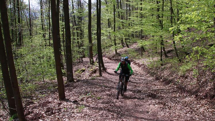 200 Höhenmeter strampeln die Mountainbiker über Waldwege hinauf.