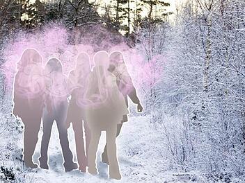 Die Duftwolke des Schreckens - von Rosenduft bis Lavendelmix ist alles drinnen. Montage: Alice Barna