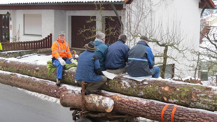 Ein Tross aus mehreren Traktoren brachte die "Bürgermeister"-Bäume an Ort und Stelle. Foto: Doris Bauer