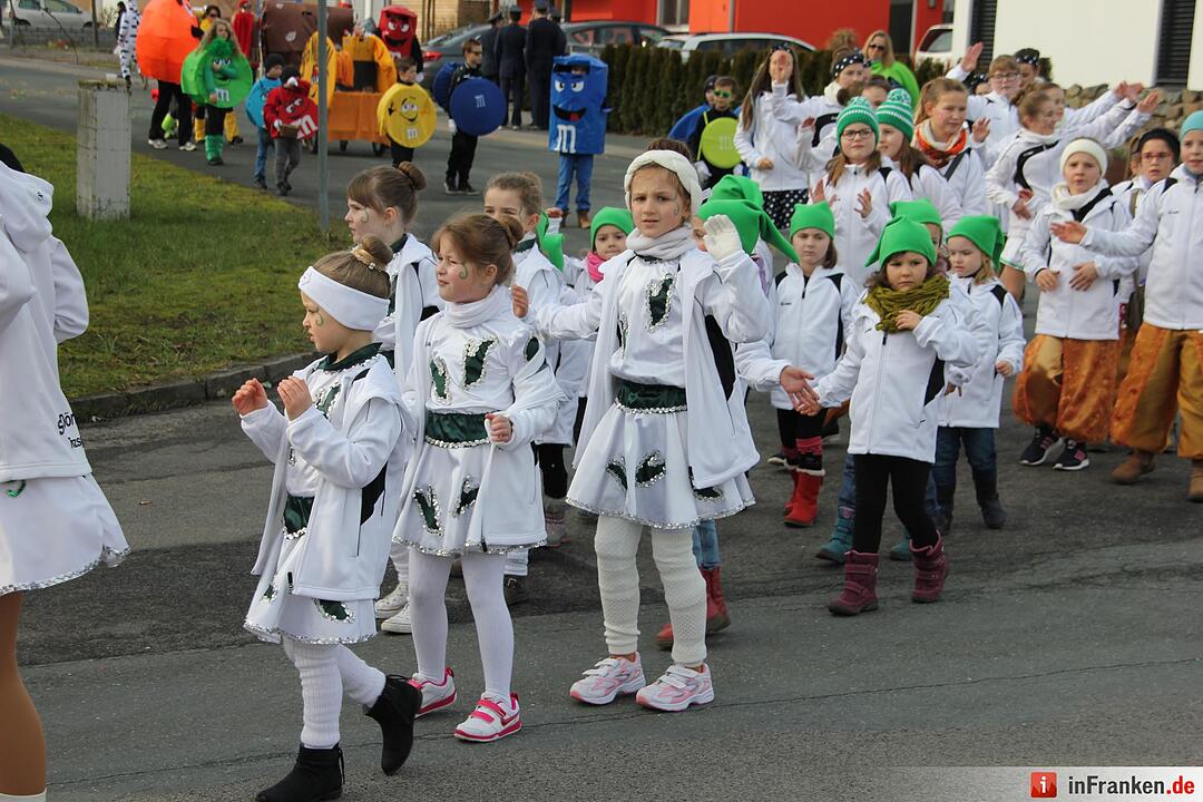 Faschingszug Oberhaid 2016