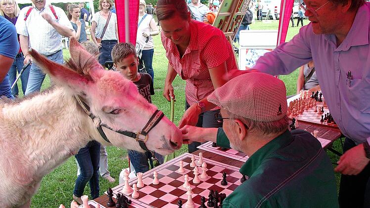 Bei den Schachspielern des SC 1868 Bamberg kreuzte zwischendrin auch ein Esel auf. Foto: privat