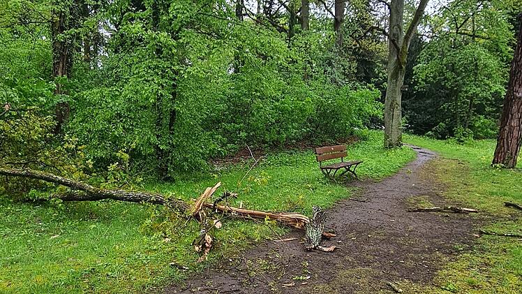 Bamberg: Rund 20 Einsätze in kurzer Zeit - Schneefall überrascht Bamberger Feuerwehr