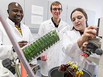 Michaela Dippold im Gespräch mit den Doktoranden Ezekiel Bore (links)und Joshua Bostic im Forschungslabor der Uni Göttingen Foto: Frank Schultze