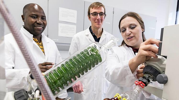 Michaela Dippold im Gespräch mit den Doktoranden Ezekiel Bore (links)und Joshua Bostic im Forschungslabor der Uni Göttingen Foto: Frank Schultze