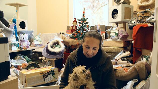 Ursula Boehm und der kleine Snoopy freuen sich über die vielen Geschenkpäckchen, die in diesen Vorweihnachtstagen im Tierheim eingetroffen sind.Foto: Heike Beudert