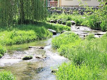 Gewässer wie hier der Lauterbach in Bad Staffelstein sind besonders zu schützen.
