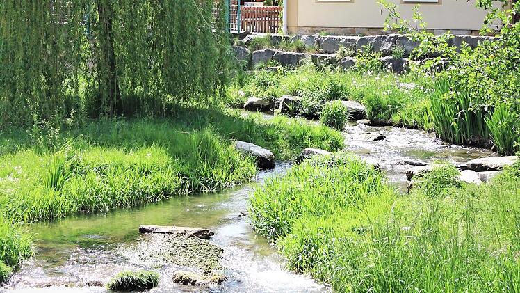 Gew&auml;sser wie hier der Lauterbach in Bad Staffelstein sind besonders zu sch&uuml;tzen.