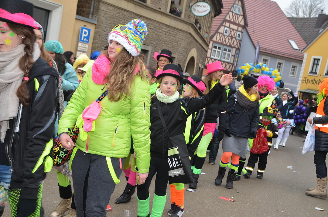 Landkreisfaschingszug 2015