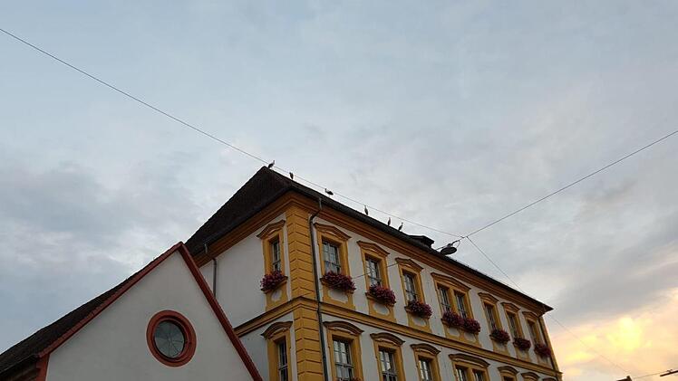 Die Vögel wachten ebenfalls auf dem Schulamt-Gebäude in Forchheim. Foto: Luisa Dörr