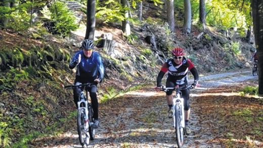 Mit dem Bike durch den Herbstwald