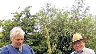 Kleines Fest der Häcker