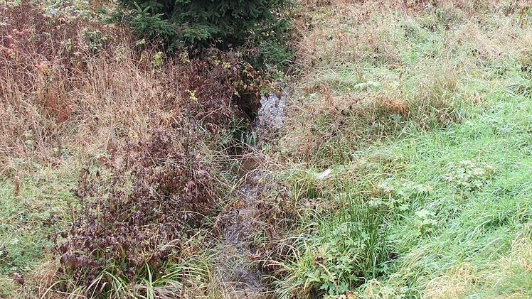 Dieses schmale Rinnsal bildete den Grenzfluss. (Foto: Friedwald Schedel)