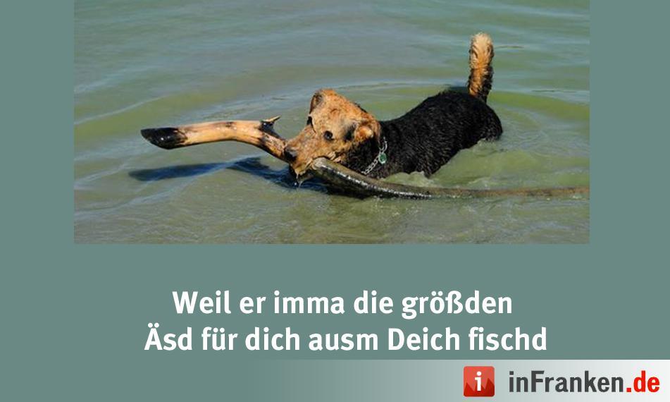 Foto: Ilona Schönau