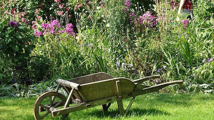 Wilde Ecken im Garten sind nicht nur schön und vielfältig, sondern auch nützlich!