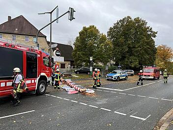 Eckental: Maibaum stürzt auf auf Eschenauer Hauptstraße - Feuerwehr im Einsatz