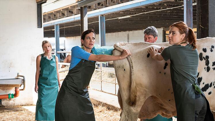 Kuh Lotte kalbt! Mit vollem Einsatz bringen Maja (Bettina Zimmermann, zweite von links) und ihre neue Kollegin Julia (Meriel Hinsching, rechts) für Bauer Rothe (Peter Schneider) und dessen Tochter Lisa (Lilly Barshy) ein Kalb zur Welt.