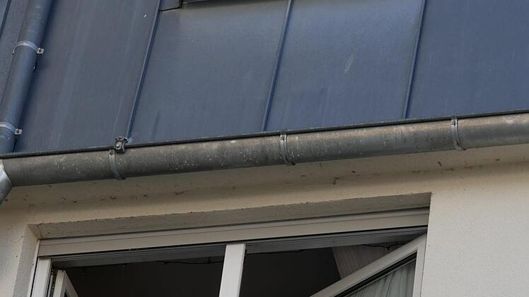 Wildenheid in Narrenhand - Impressionen vom Faschingsumzug im Neustadt Stadtteil. - Foto: Manja von Nida