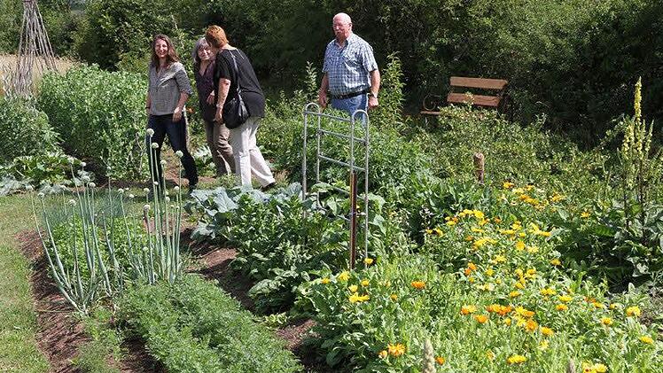 Der Naturgarten von Peter Hofmann und Petra Niedermeyer ist geprägt von Gemüseanbau und Wildwuchs. Foto: Mathias Erlwein