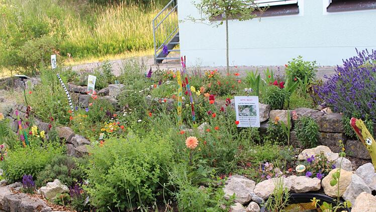 Im Garten-Club der Grundschule Igensdorf d&uuml;rfen die Sch&uuml;ler mitentscheiden, was gepflanzt wird. Daf&uuml;r gab es ein Preisgeld und eine Vogeltr&auml;nke. Foto: privat