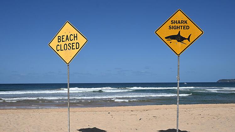 Tödlicher Hai-Angriff in Sydney