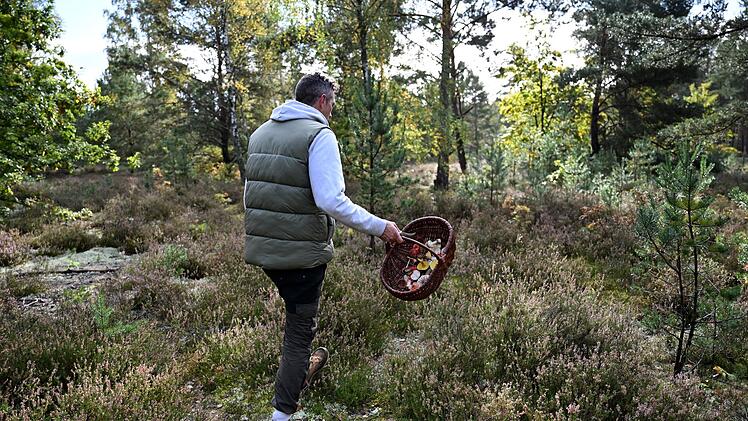 Mit einem Pilz-Influencer in den Pilzen