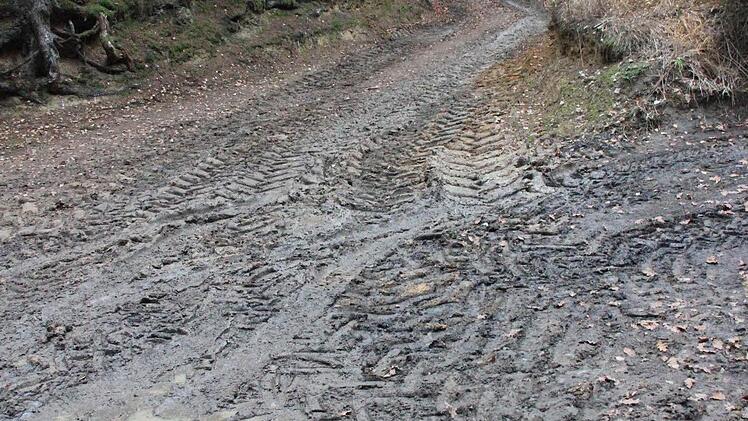 Der bisherige Weg von den "7 Fuhren" auf den Rainberg ist in einem sehr schlechten Zustand.  Foto: Friedwald Schedel
