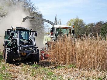 Arbeitsspitzen abfangen und Betriebskosten optimieren - die Landwirte profitieren vom Maschinen- und Betriebshilfsring. Foto: Gabi Budau-Wirsing/Archiv