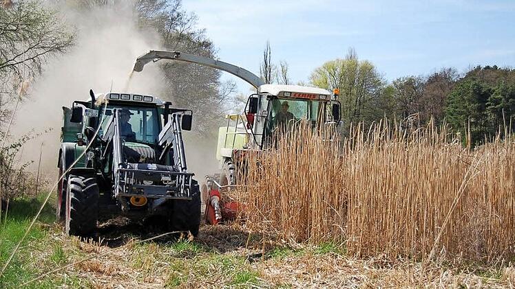 Arbeitsspitzen abfangen und Betriebskosten optimieren - die Landwirte profitieren vom Maschinen- und Betriebshilfsring. Foto: Gabi Budau-Wirsing/Archiv