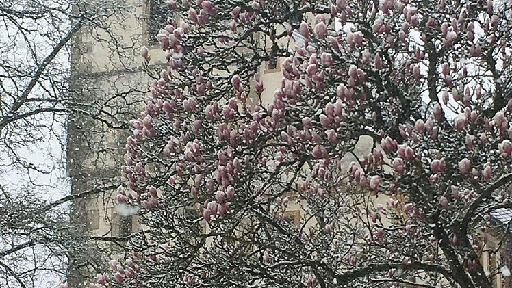 Schnee an Ostern in Bad Kissingen Foto: Hanns Friedrich
