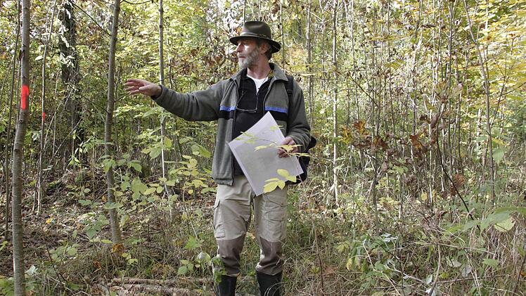 Foto: Josef Hofbauer