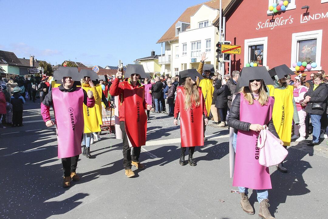 Fasching 2025 in Stadtsteinach!