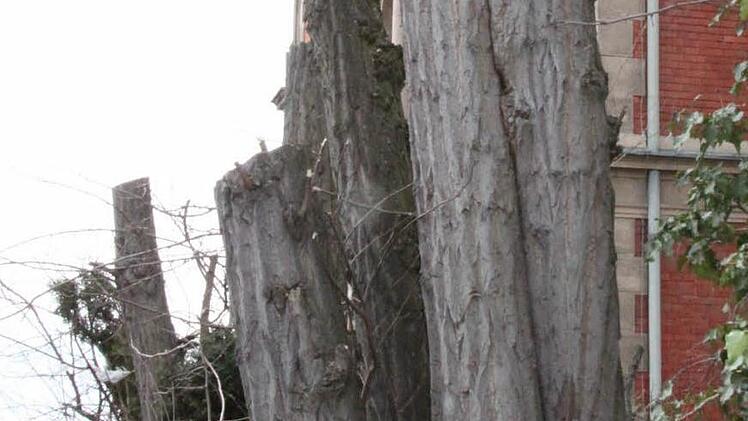 Auch das hätte nicht sein müssen, sagt Wack.Auch das hätte nicht sein müssen, sagt Wack.