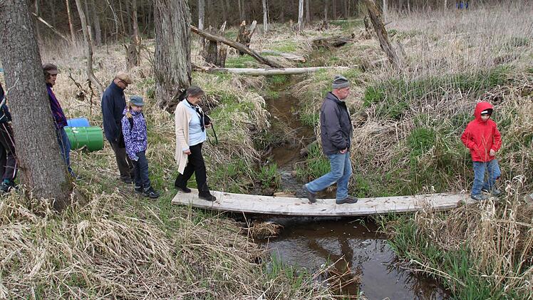 Über ein schmales Holzbrett geht es...