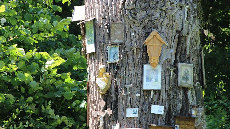 Kreuze, Rosenkränze und Heiligenbildchen hängen an der Bildeiche, aber auch Gedenktafeln und -bilder an verstorbene Münnerstädter.Heike Beudert