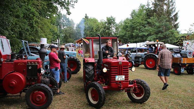Auch Modelle von McCormick, hier der D-326 von Ralf Enz (Traktorfreunde Frohnlach) waren am Sonntag vertreten. Foto: Bettina Knauth