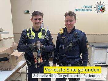 "Drücken die Daumen für eine schnelle Genesung": Nürnberger Polizisten retten schwer verletzte Ente