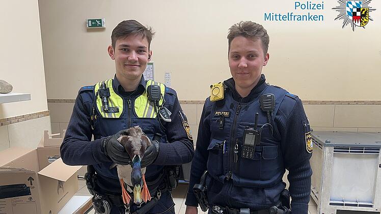 "Drücken die Daumen für eine schnelle Genesung": Nürnberger Polizisten retten schwer verletzte Ente