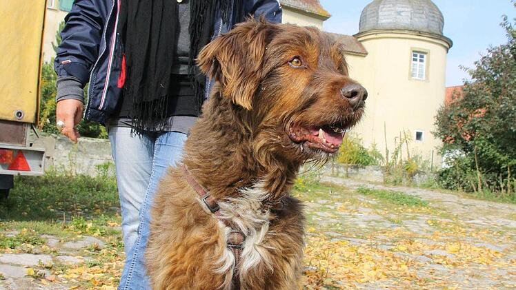 Ute Weis und Benji: ein gutes Team.