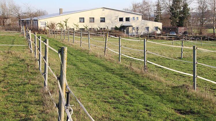 Die gesamte Anlage des Höchstadter Reitvereins ist verlassen. Reithalle und Reiterstübchen (hinten) stehen leer. Auf den Koppeln wächst frisches Gras. Foto: Andreas Dorsch