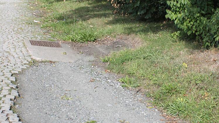 Schlagloch am Rand der Straße zum Hochstadter Bahnhof Foto: Popp