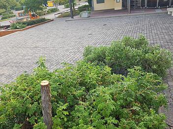 Eine Serie von Sachbeschädigungen hielt Zapfendorf und die Polizei 2018 in Atem- und wurde aufgeklärt.Archivbild: Gemeinde Zapfendorf